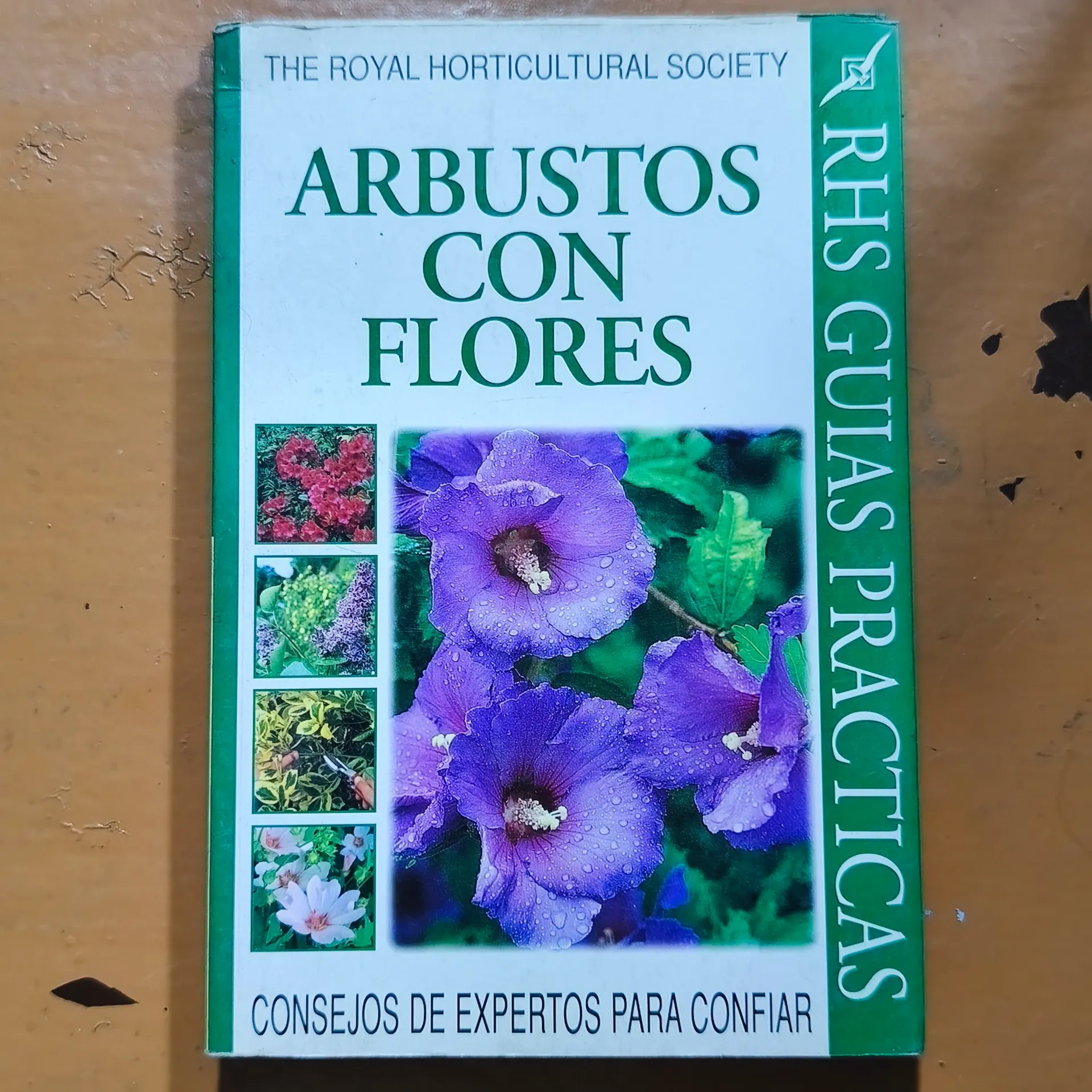 Arbustos con Flores