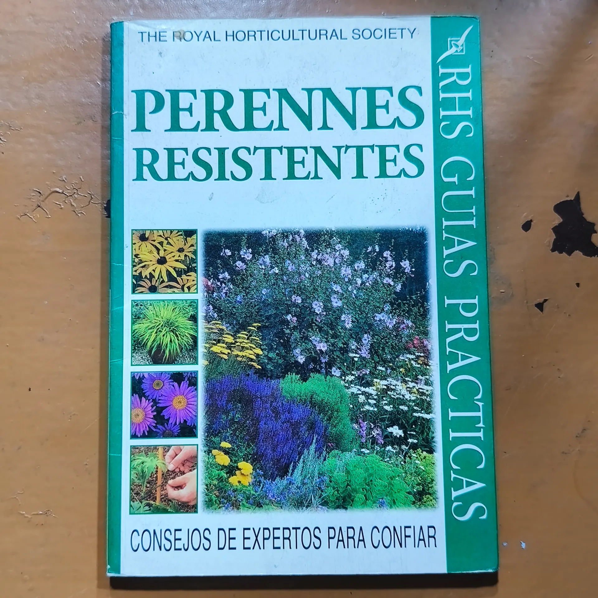 Perennes Resistentes