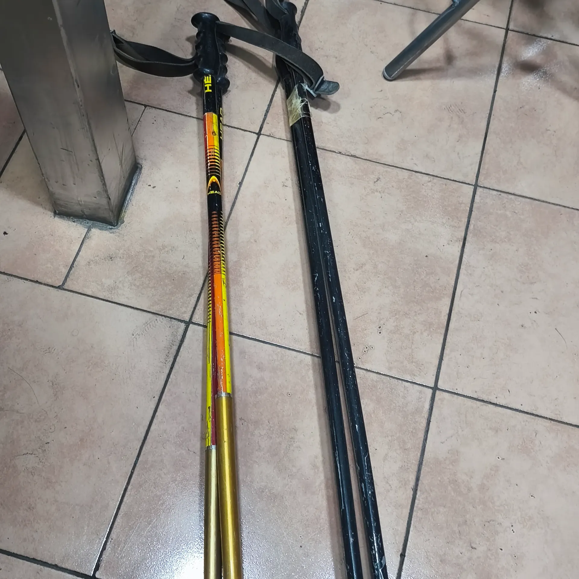 Bastones de Ski
